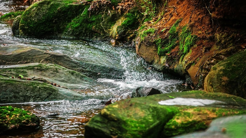 Bubbling Brooks